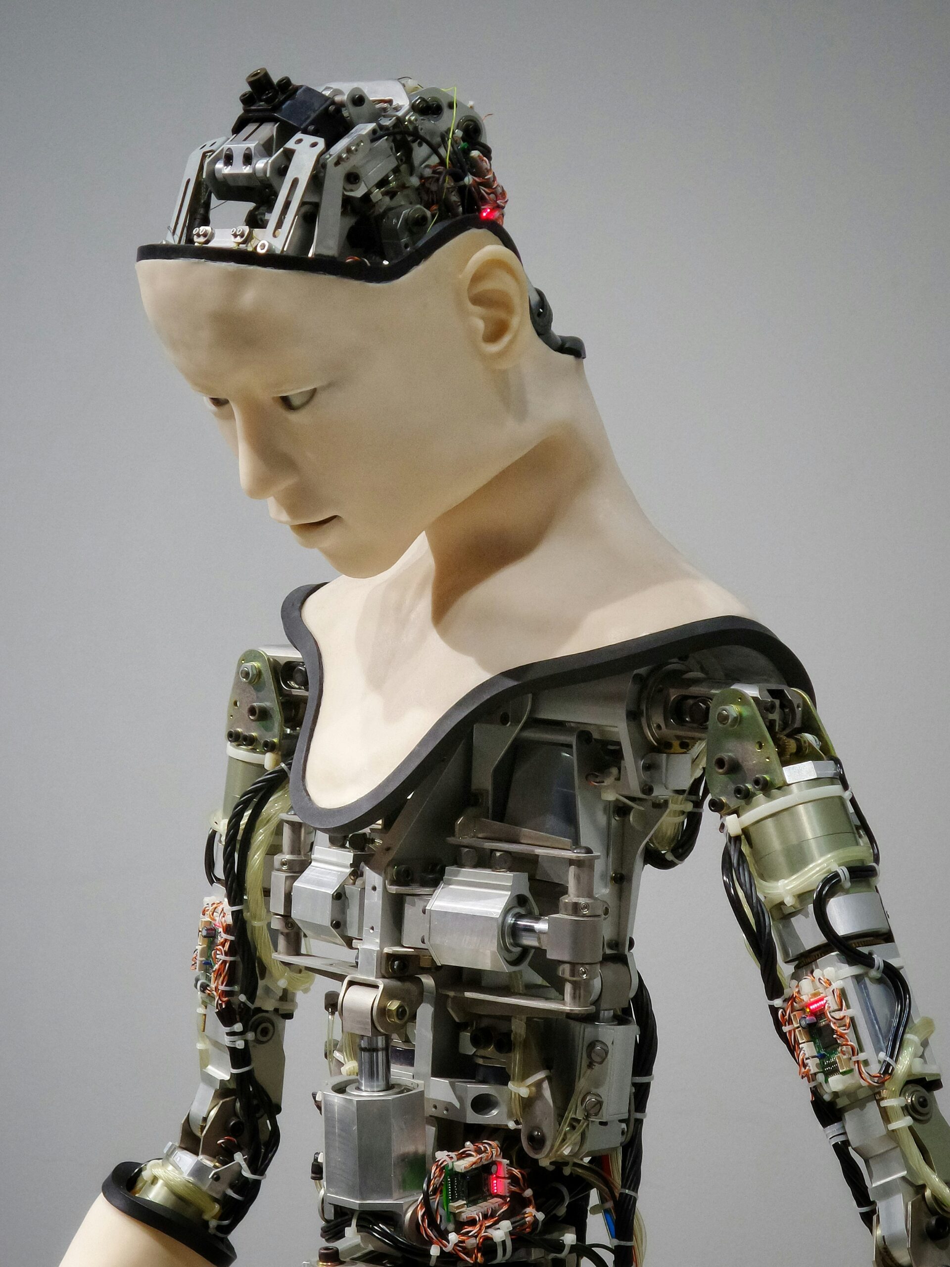Harnessing Artificial Intelligence and Machine Learning: Transforming Technology and Business